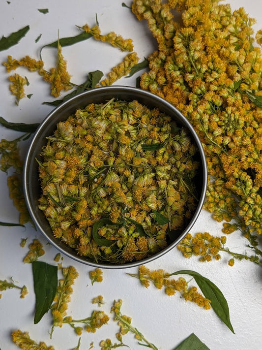 Goldenrod Leaves and Flowers - Premium Air Dried - Produced in Oregon