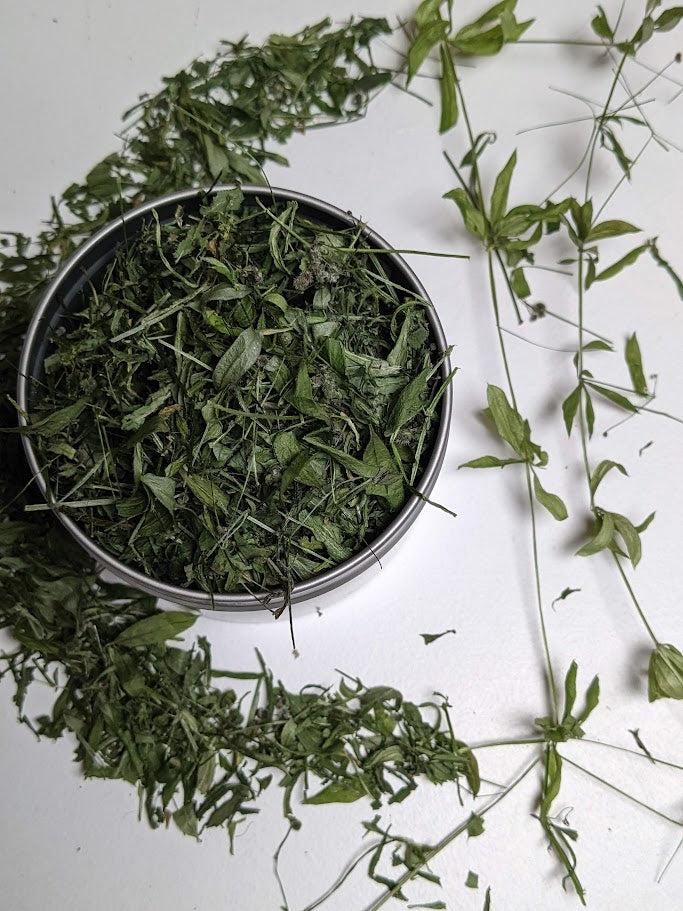 Cleavers - Premium Air Dried - Produced in Oregon by Little River Herbs