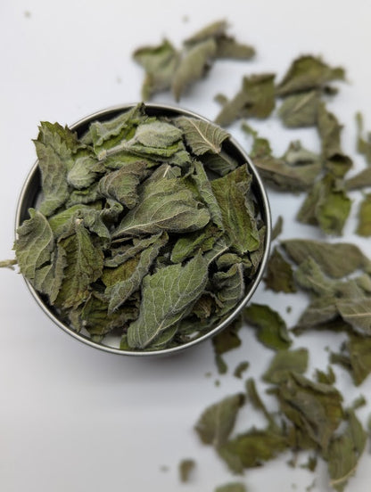 Apple Mint - Premium Air Dried - Produced in Oregon by Little River Herbs